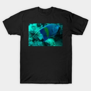 angelfish T-Shirt